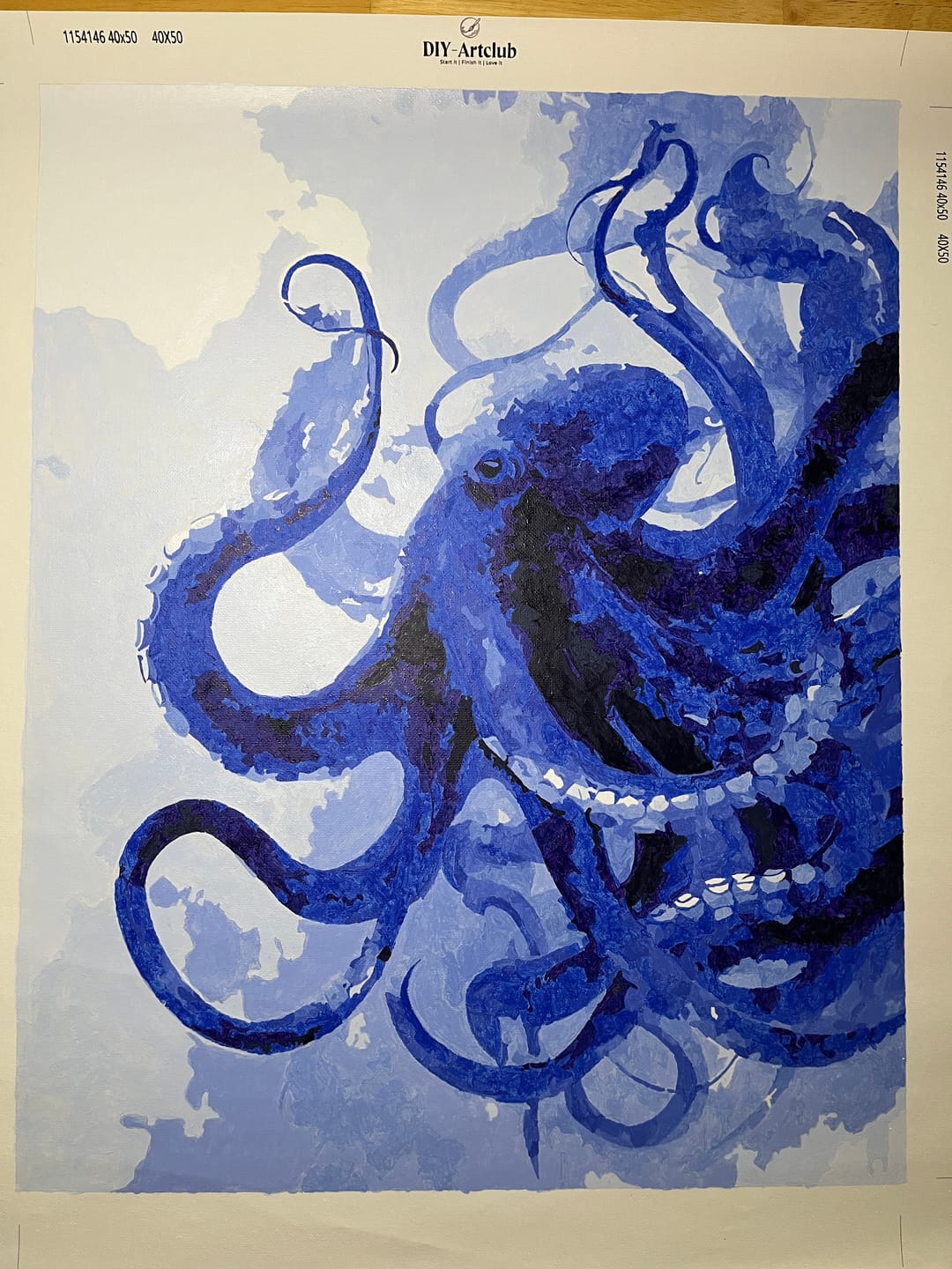 Customer photo review of Sea Creature | Paint by Number