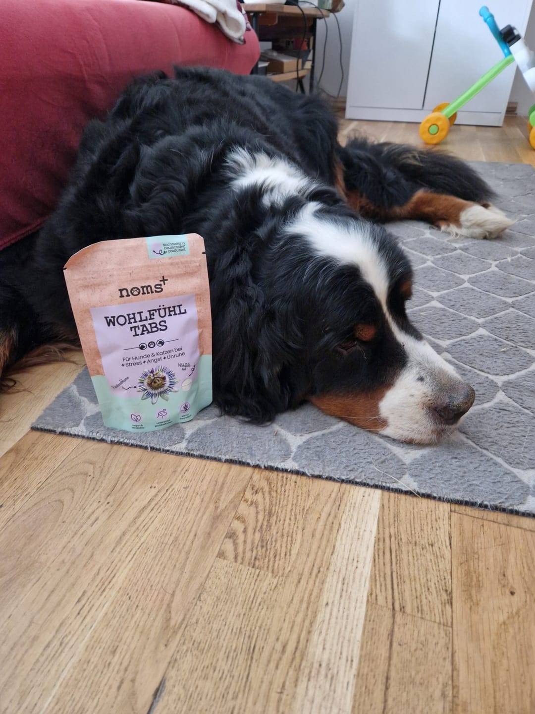 Customer photo review of Wohlfühltabs für Hunde bei Stress, Angst, Unruhe und Hyperaktivität