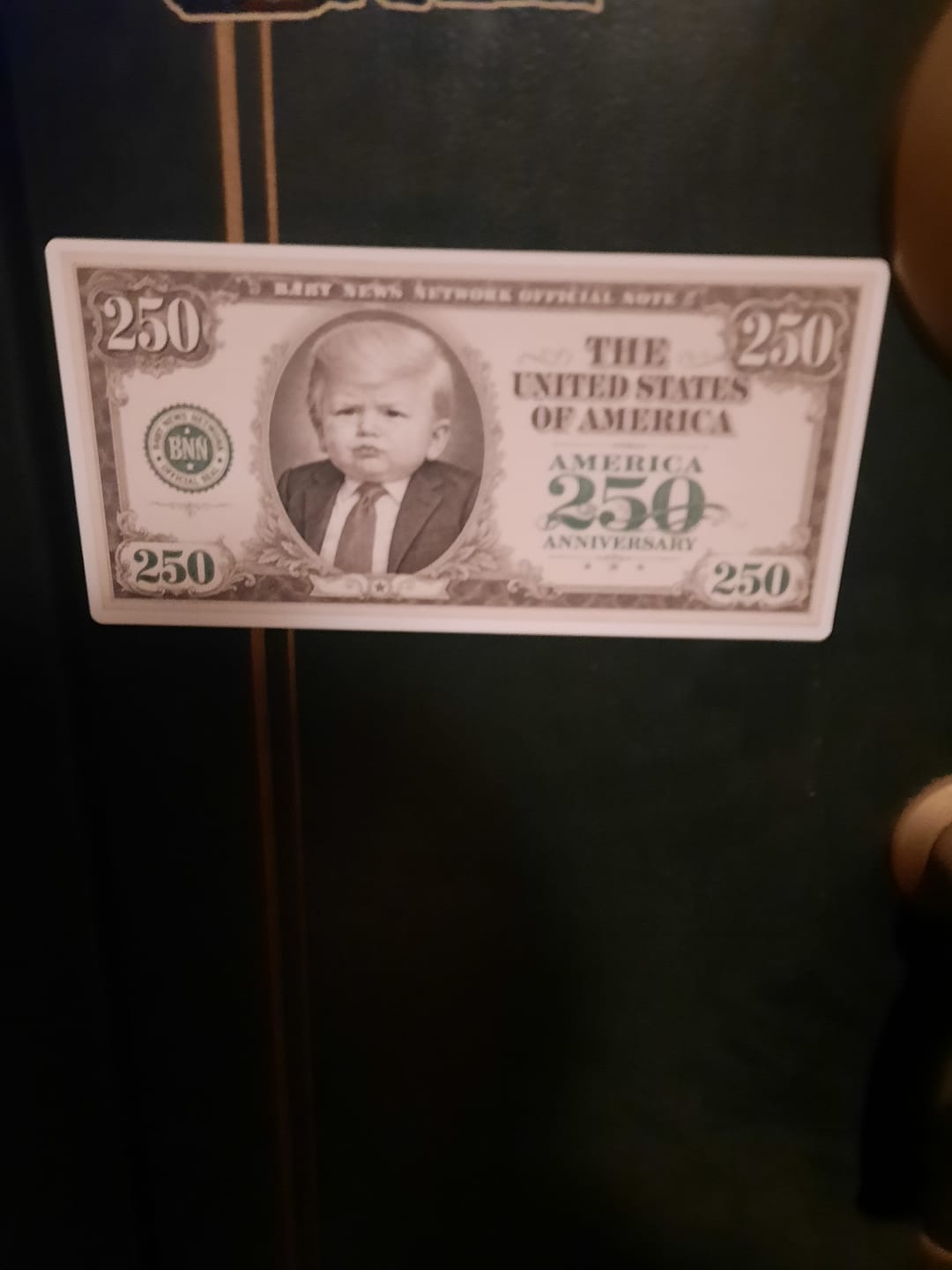 Customer photo review of 250th Anniversary Novelty 250 Bill Magnet