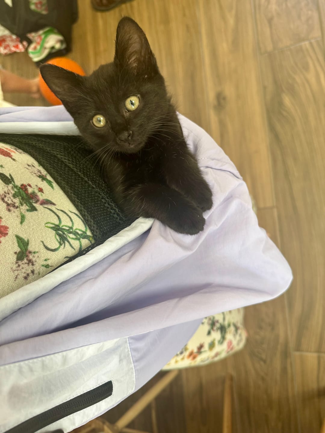 Customer photo review of Sac de transport en bandoulière lilas - version printemps / été