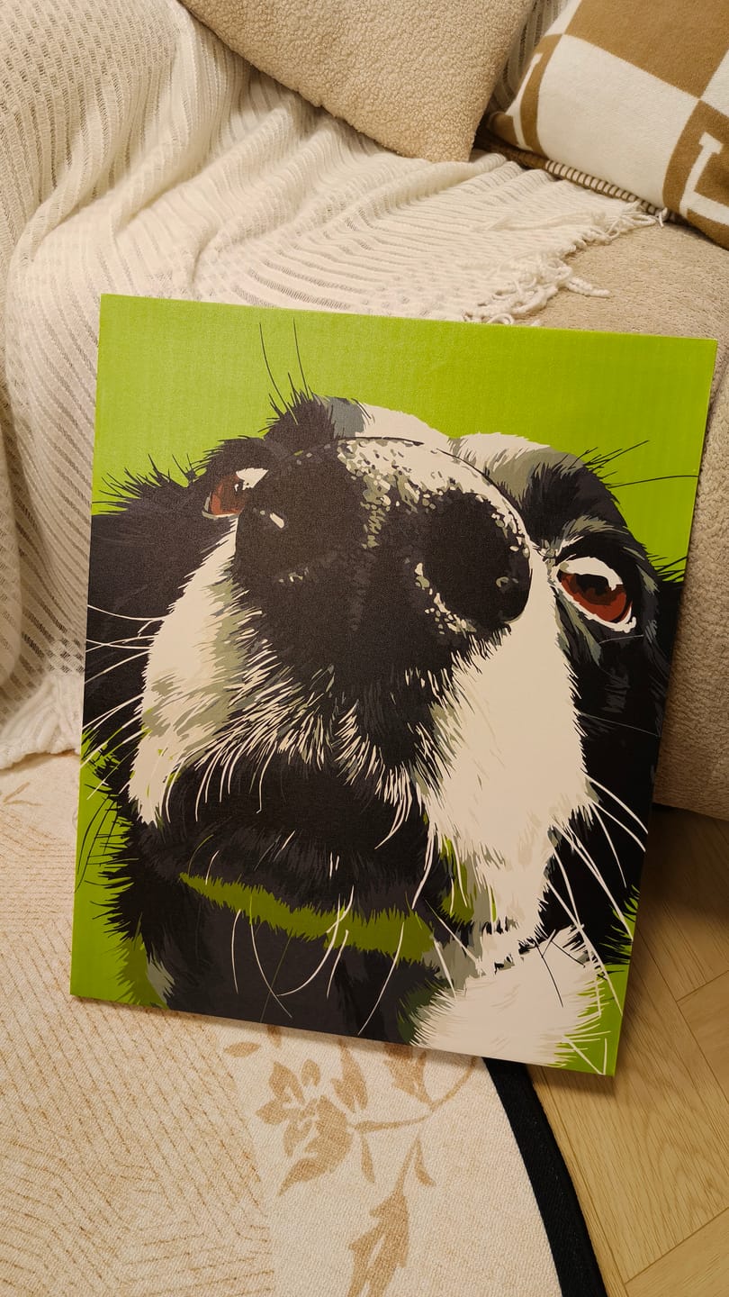 Customer photo review of Sniff Mode | Paint by Number