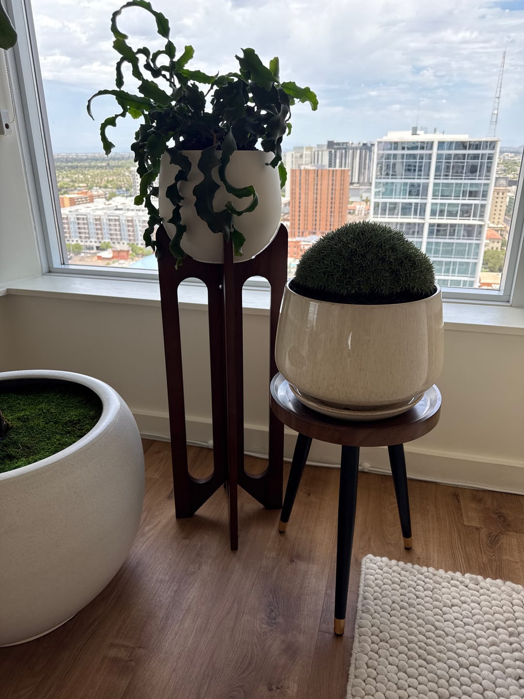 Customer photo review of Arches Plant Stand + Pot