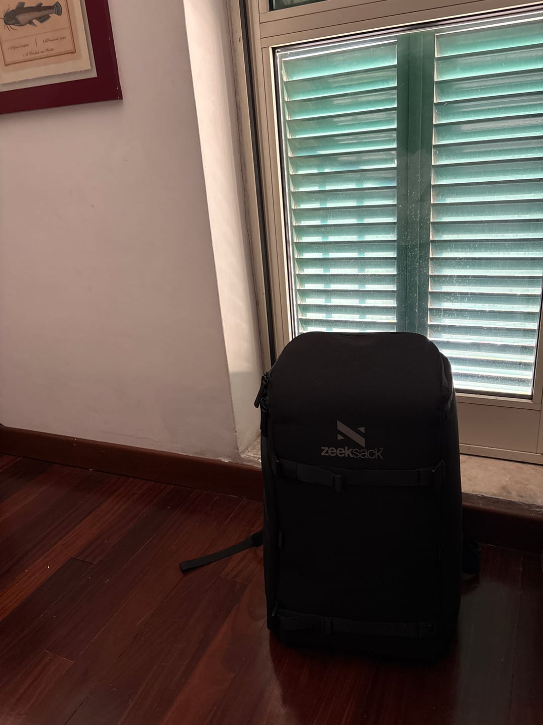 Customer photo review of The Organizer 30L