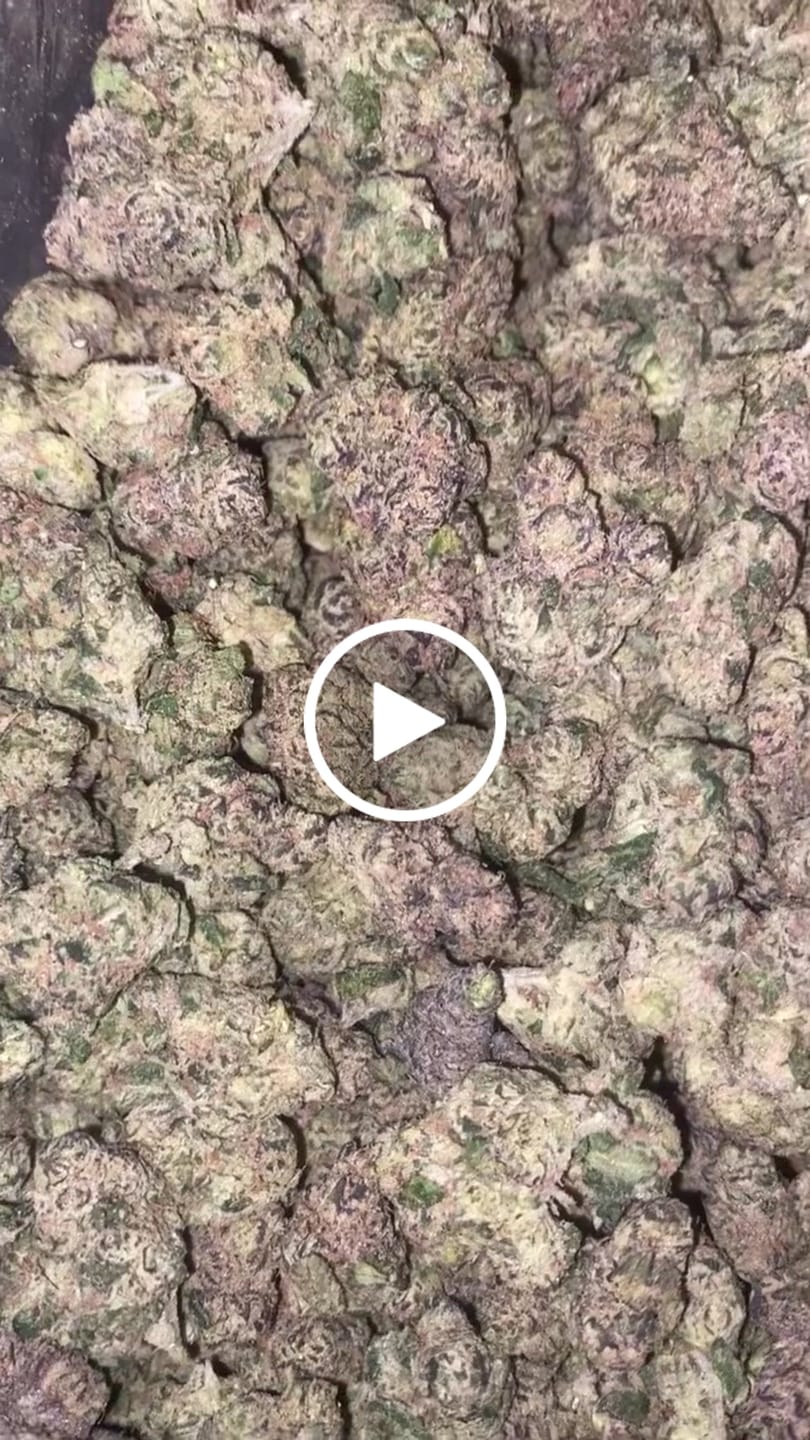 Customer video review of Gelato 33 Minis - Bulk Minis - Hybrid