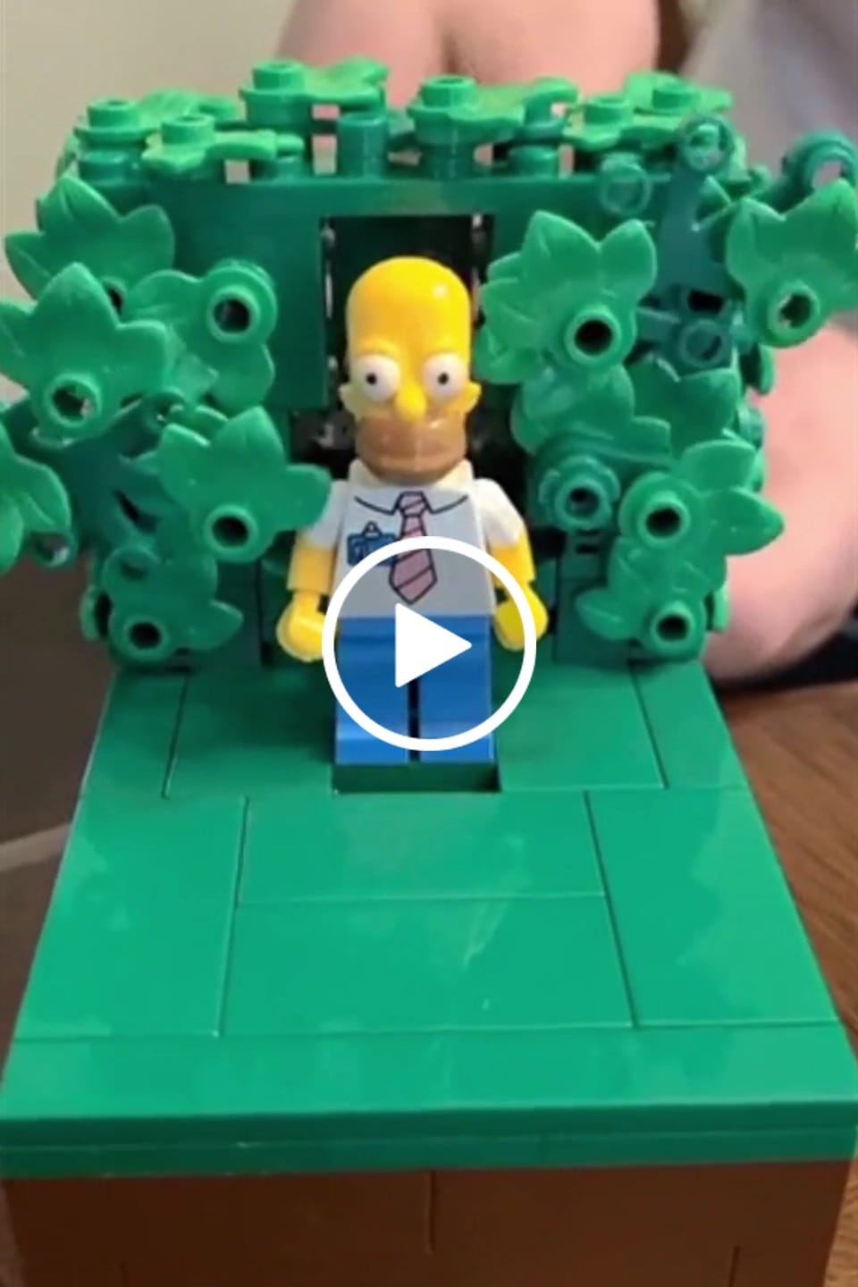 Customer video review of Buildable Homer in the Bushes Display Set