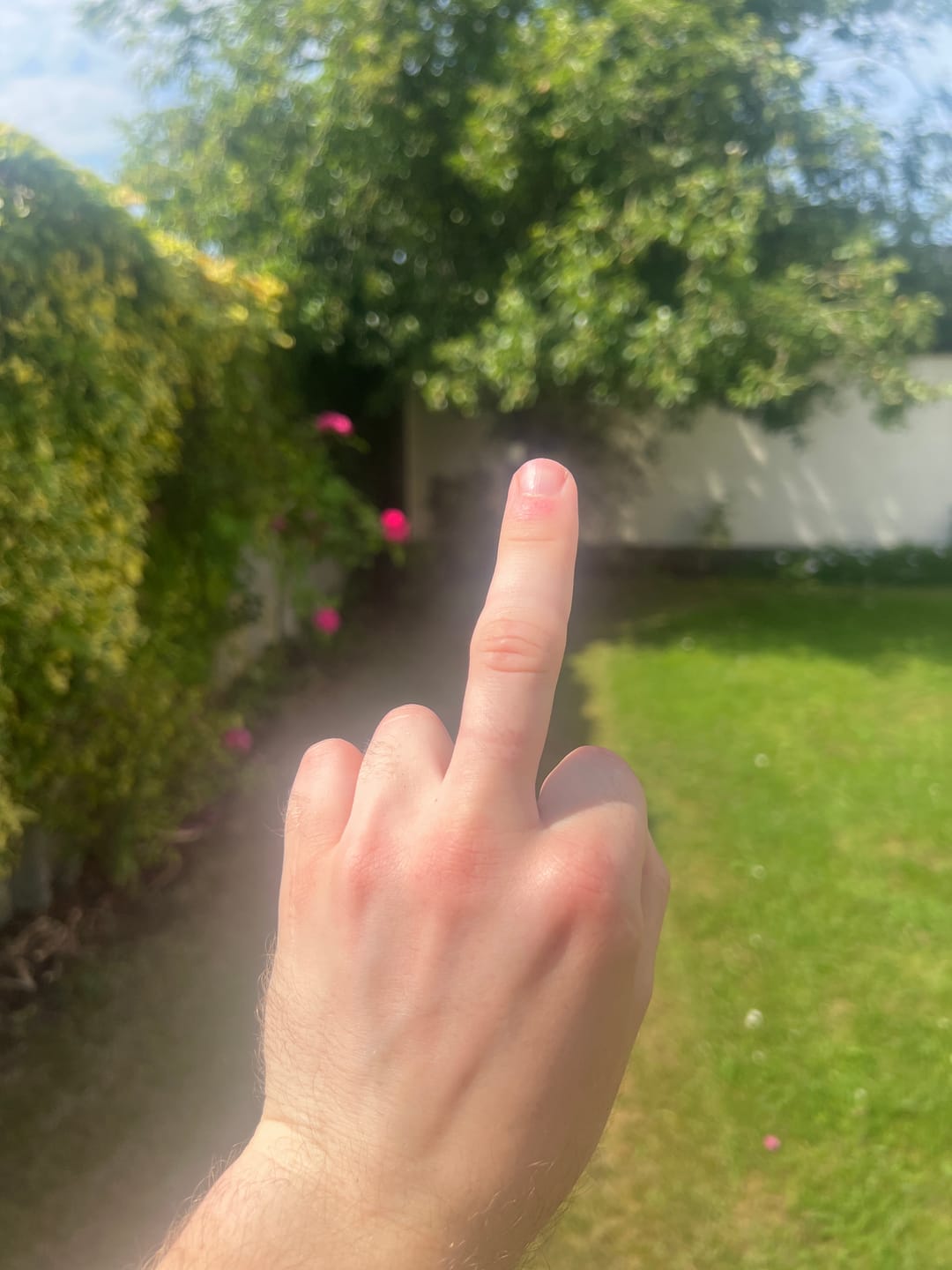 Customer photo review of Harp Signet Ring