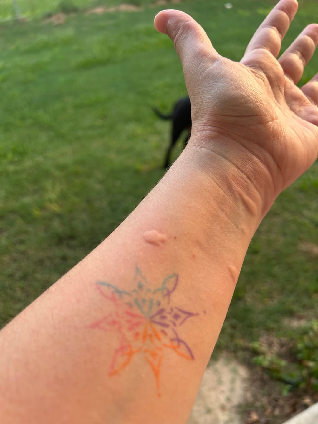Customer photo review of Mosquito TNT 2.0