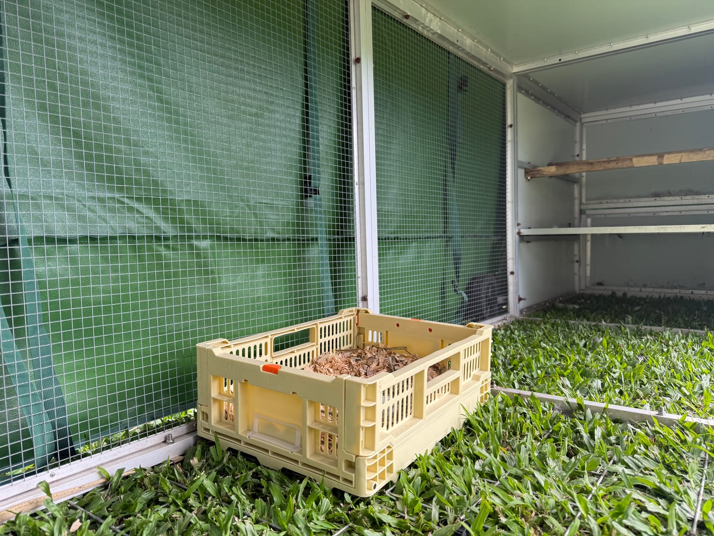 Customer photo review of Collapsible Chicken Nesting Box