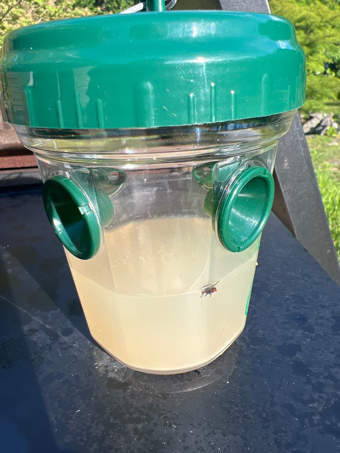 Customer photo review of Mosquito TNT 2.0