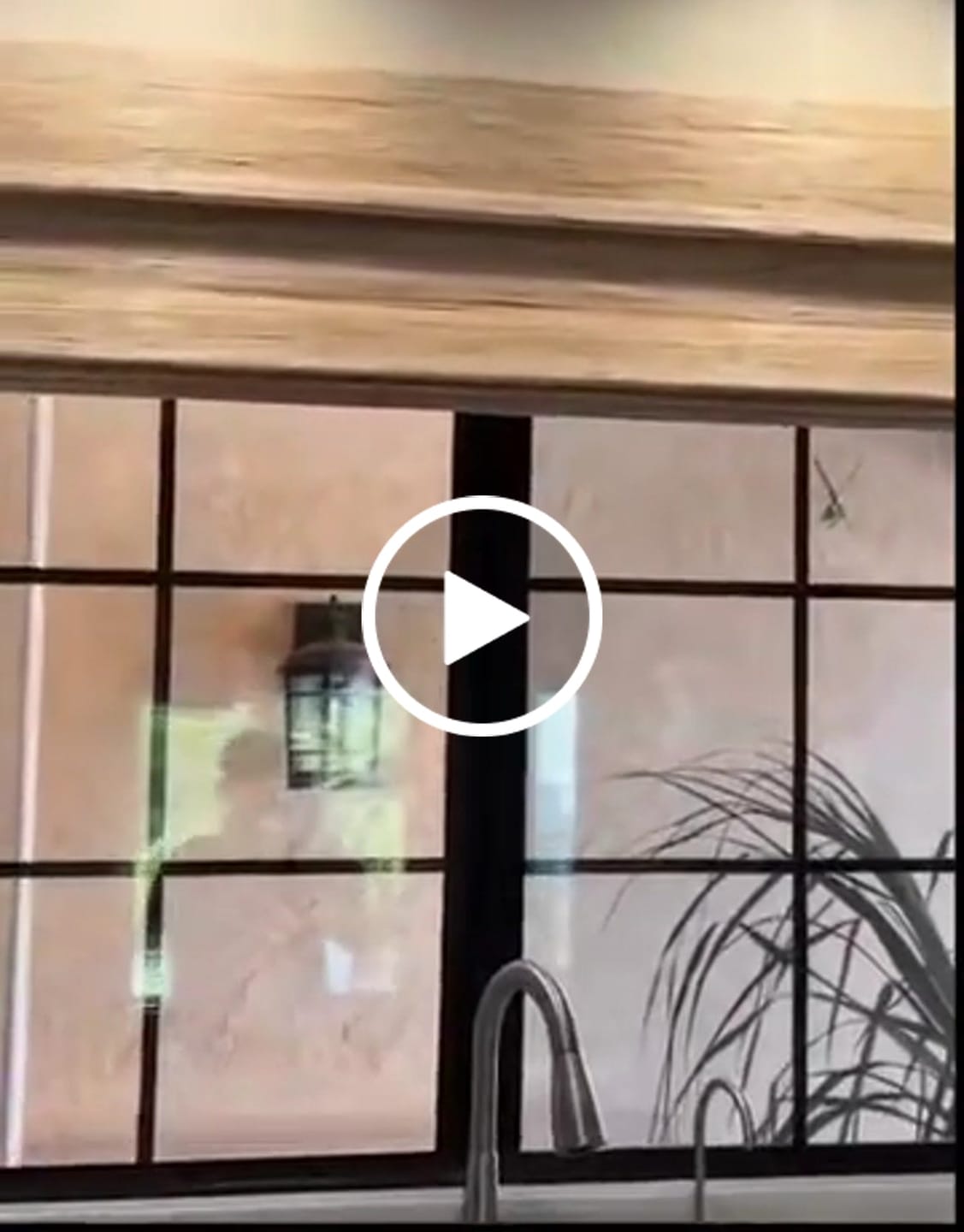 Customer video review of Smart Motorized Blackout Woven Wood Shades – Viaura