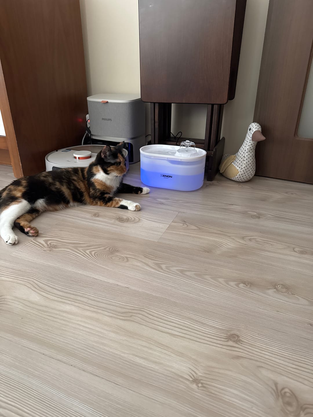 Customer photo review of Kedi Su Pınarı | Ultra Sessiz, Wifi, Akıllı, Otomatik, Su Çeşmesi (Şeffaf - X8650)