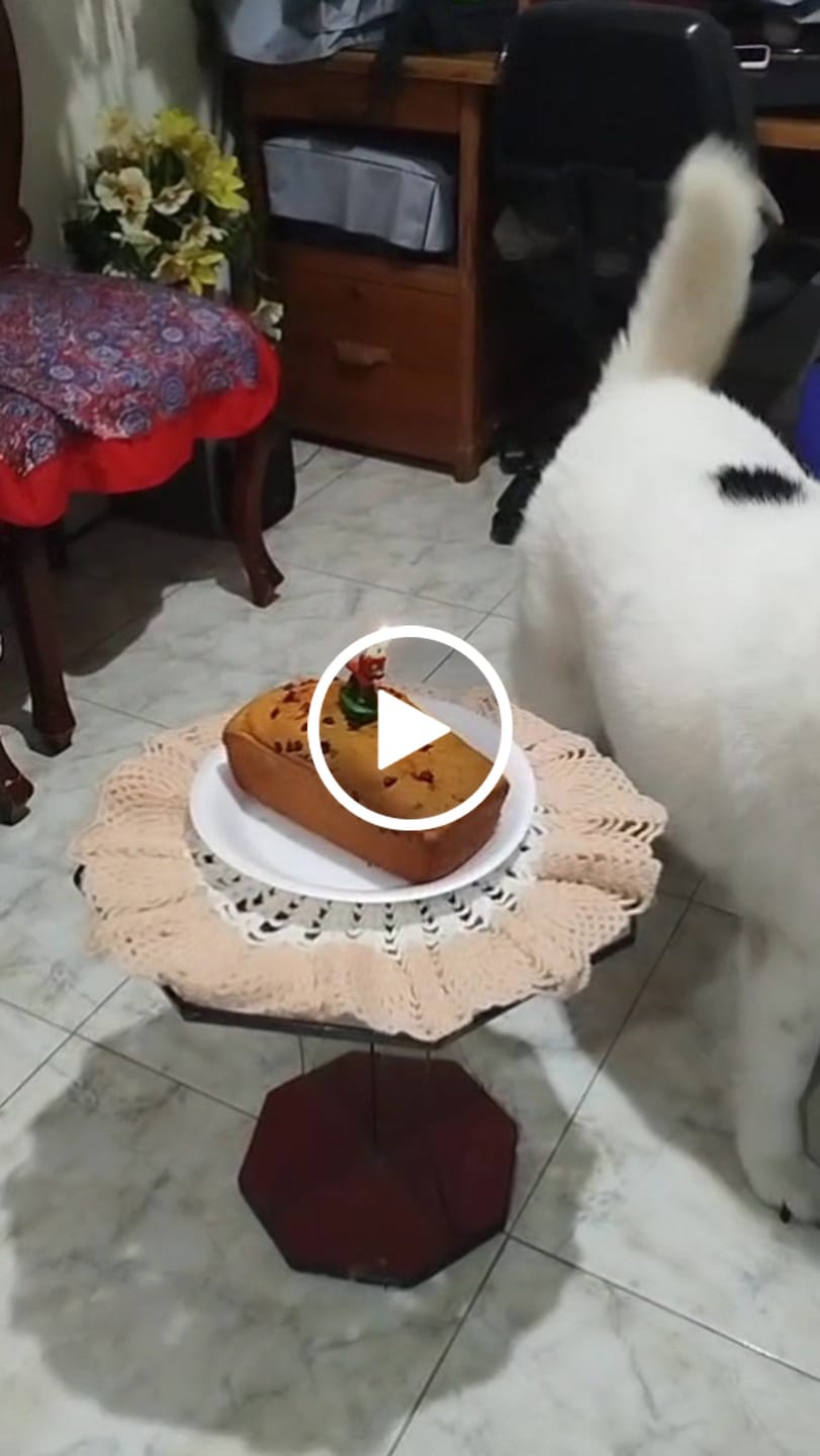 Customer video review of Delilonjas carne, frutas y verduras 4kg