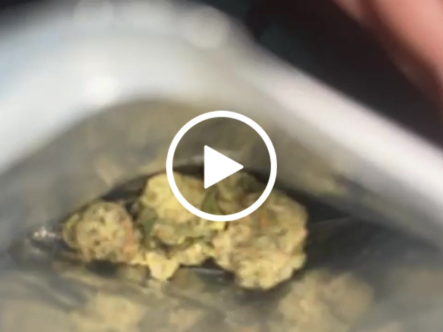 Customer video review of Sour Diesel - THCa Flower