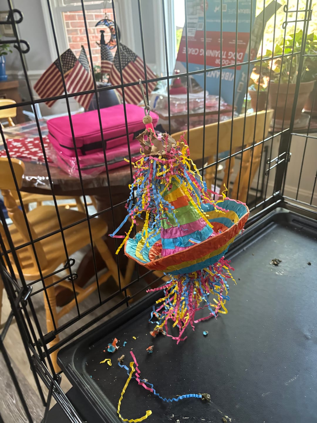 Customer photo review of 2198 Pinata Hat