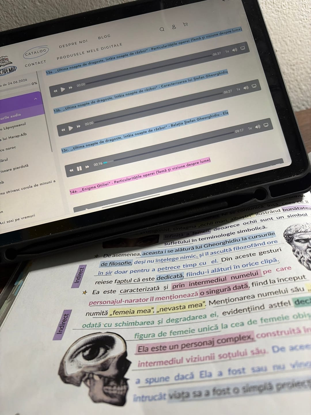 Customer photo review of Audiobook – Eseuri Audio BAC Română (temă și viziune, caracterizare, relație) + Quiz-uri