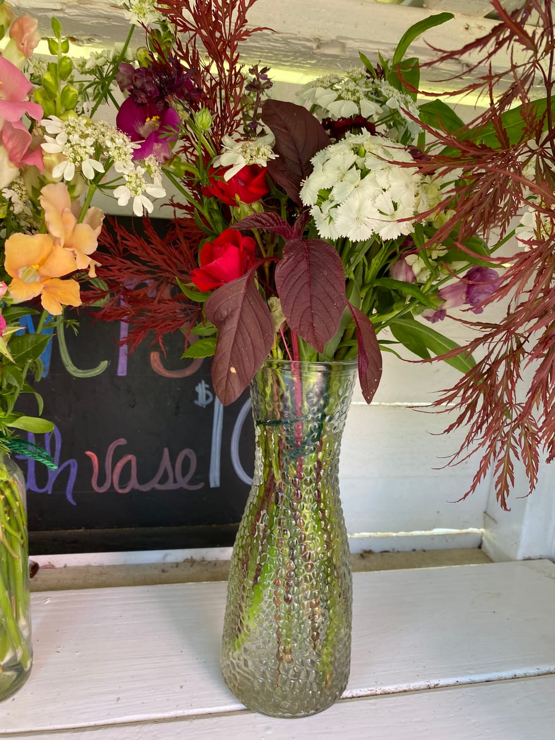 Customer photo review of Sweet William, Sweet™ White