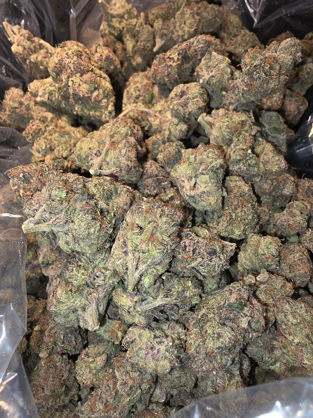 Customer photo review of Red Runtz Indoor - Bulk - Indica