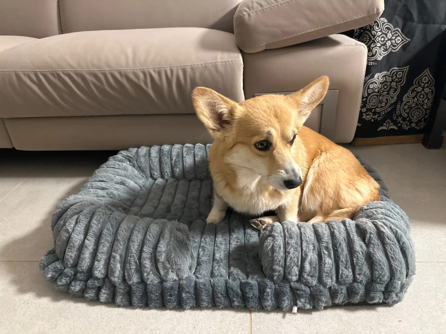 Customer photo review of Zen Pet Bed