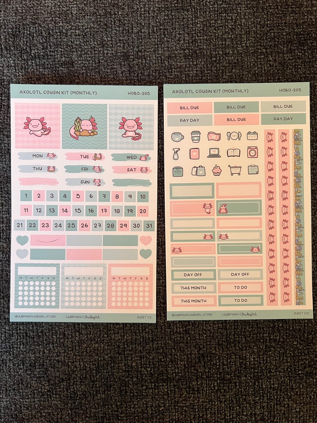 Customer photo review of Happy Axolotl Theme Hobonichi Cousin Monthly Kit (Set of 2)