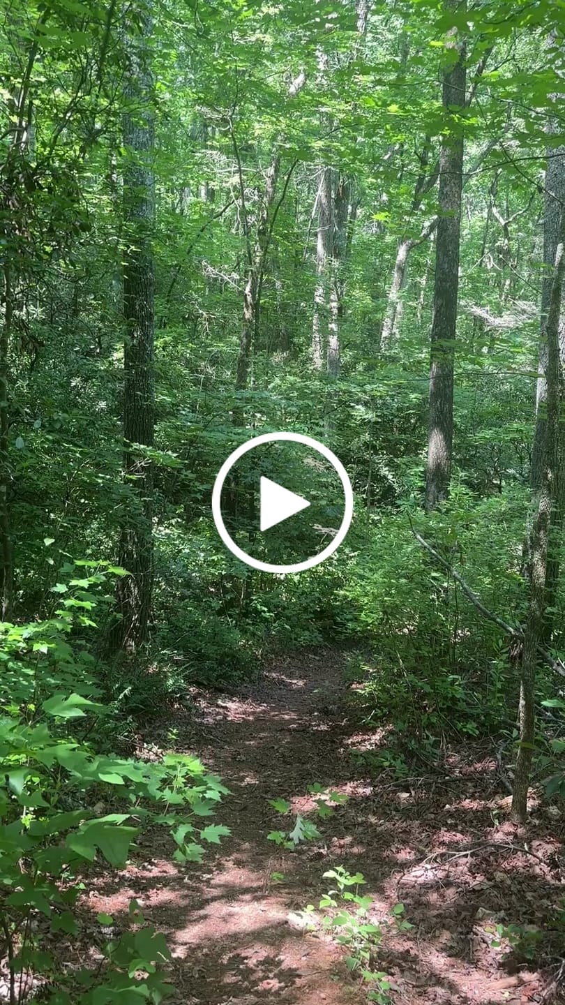 Customer video review of FluxTrail -BOGO