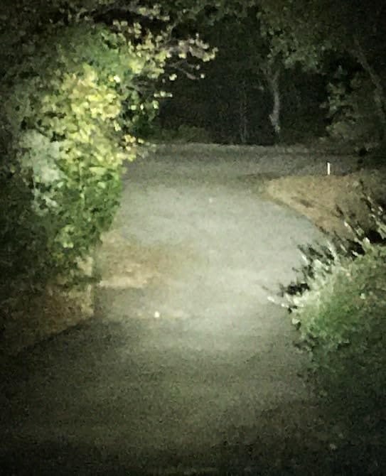 Customer photo review of MH25 PRO - 3300 lumens