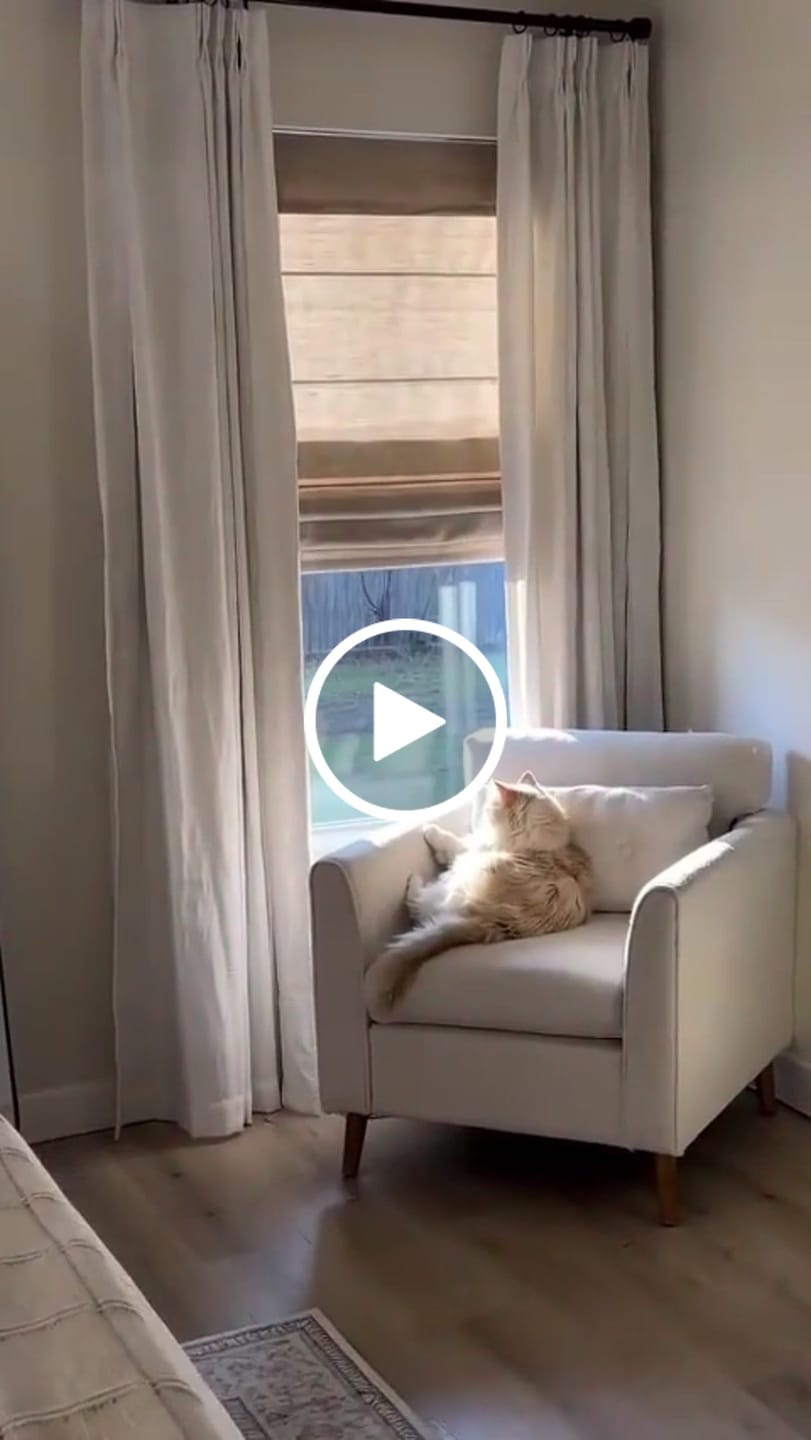 Customer video review of Smart Motorized Linen Roman Shades - 50% / 70% / 100% Blackout Terra
