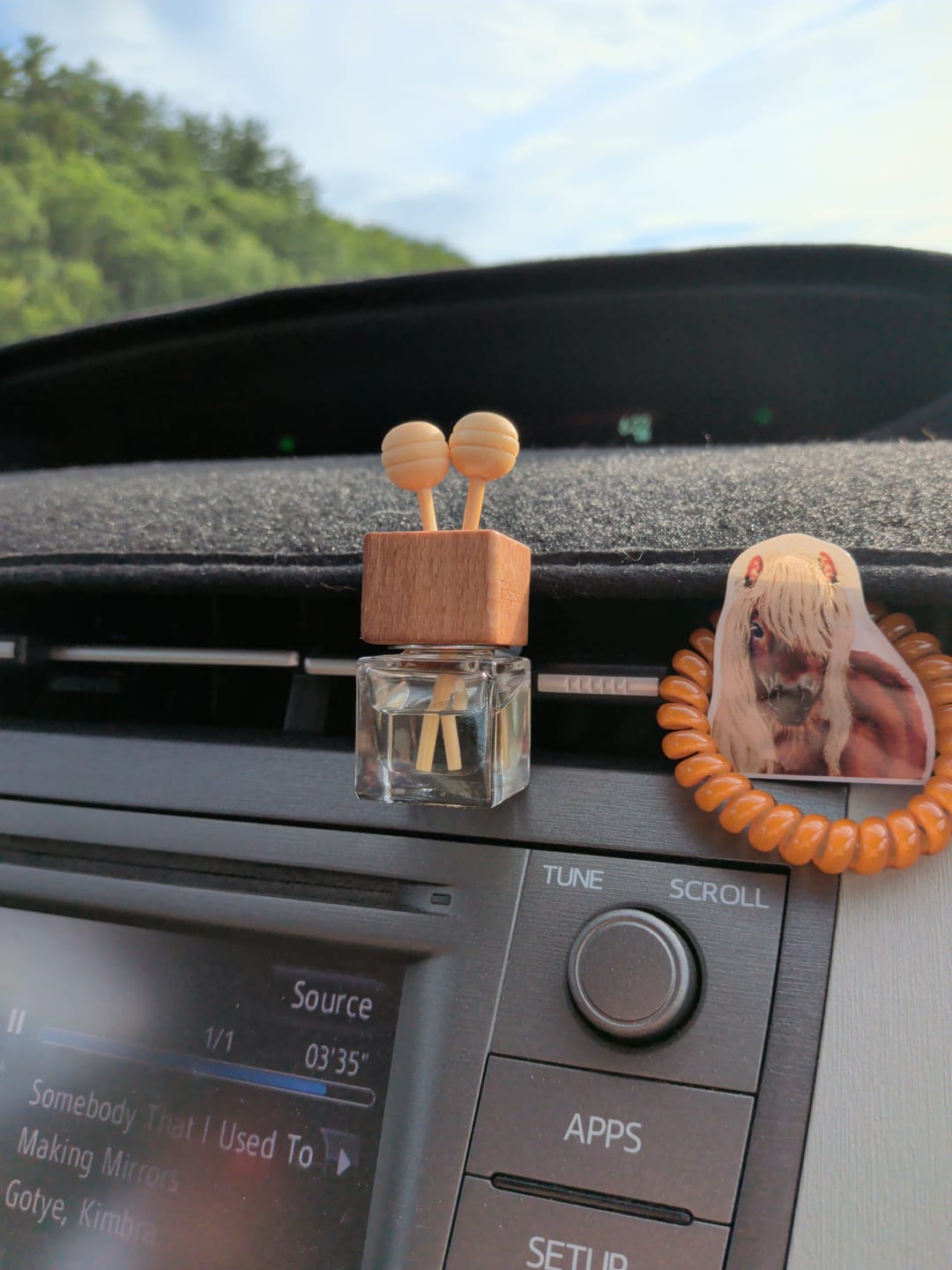 Customer photo review of Balsam & Cedar Car Freshener