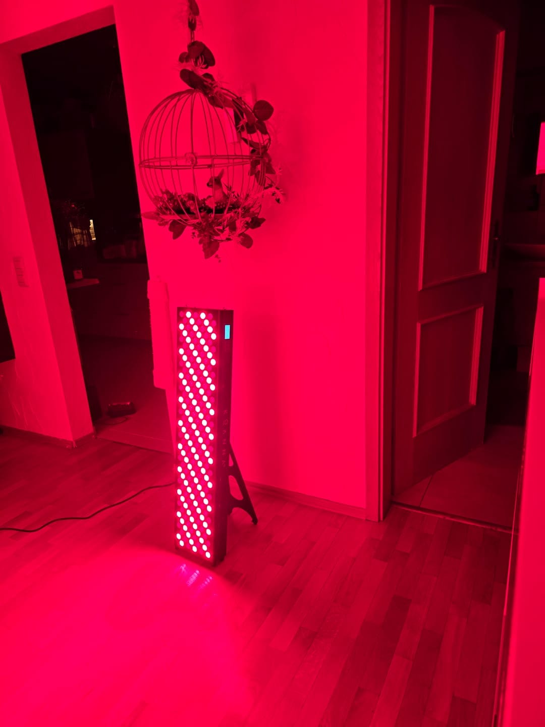 Customer photo review of Koanna® Luma1000™ – Powerful, Mid-Size Red Light Therapy Panel