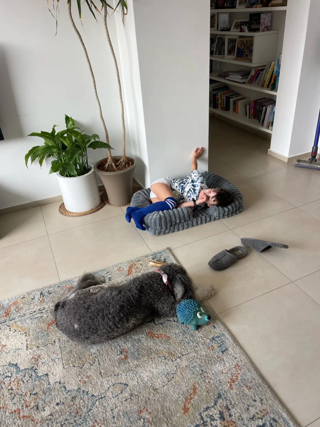 Customer photo review of Zen Pet Bed