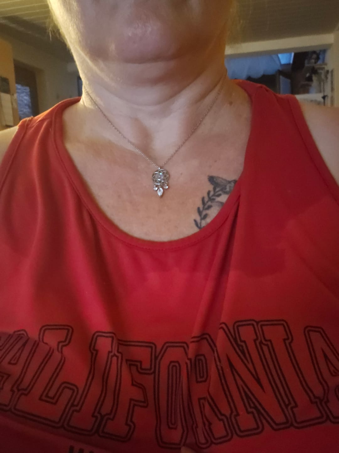 Customer photo review of Mondstein Halskette - Traumfänger