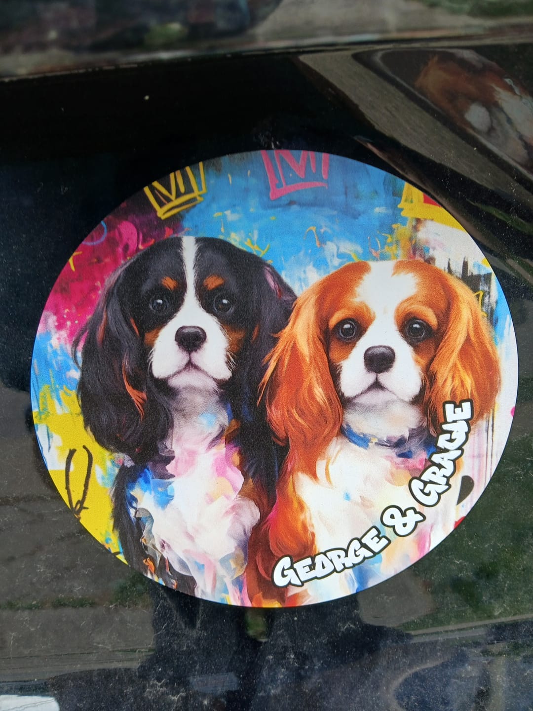 Customer photo review of Graffiti - Personalized Car Magnet