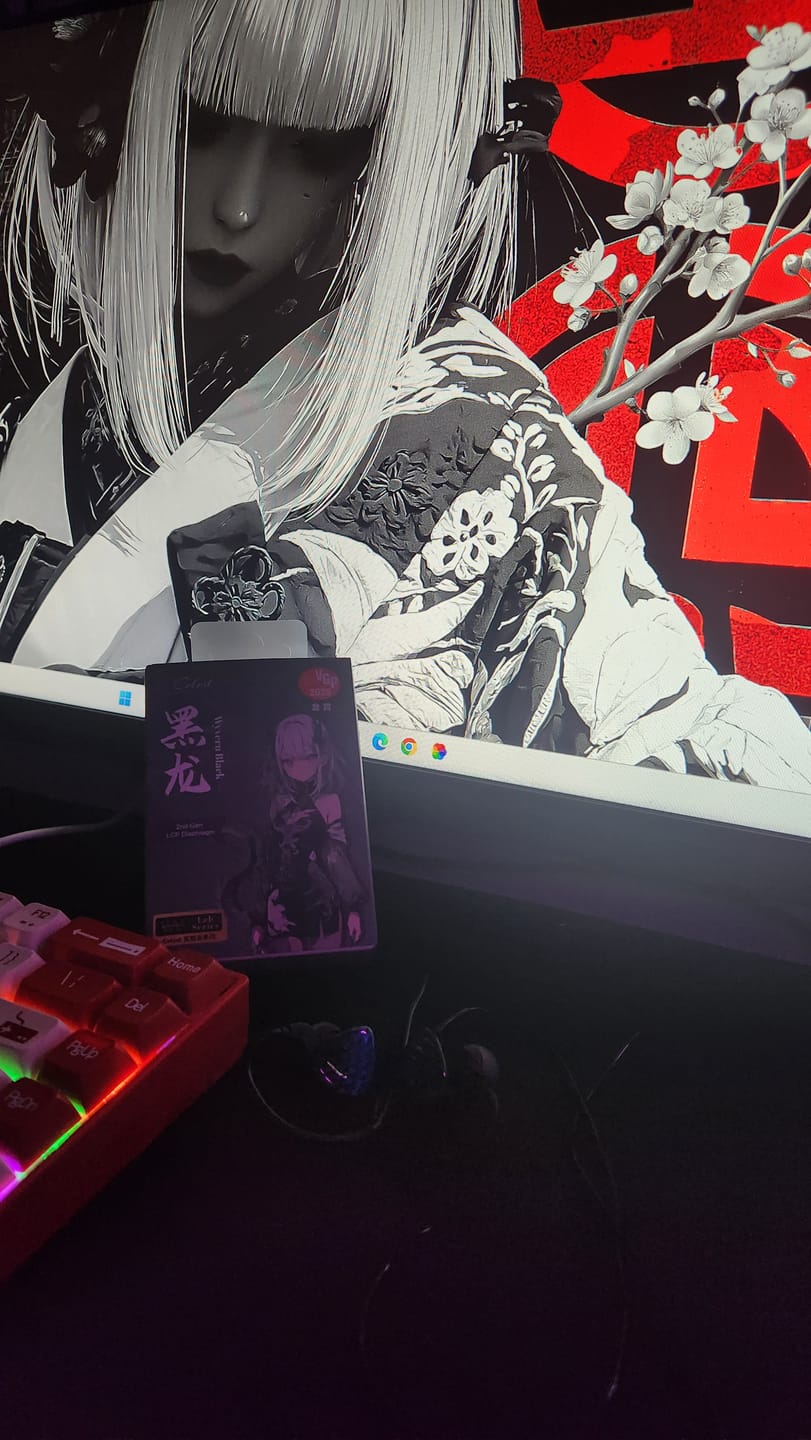 Customer photo review of Celest Wyvern Black Remaster IEM Kulaklık