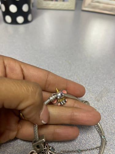 Customer photo review of Charm Dumbo