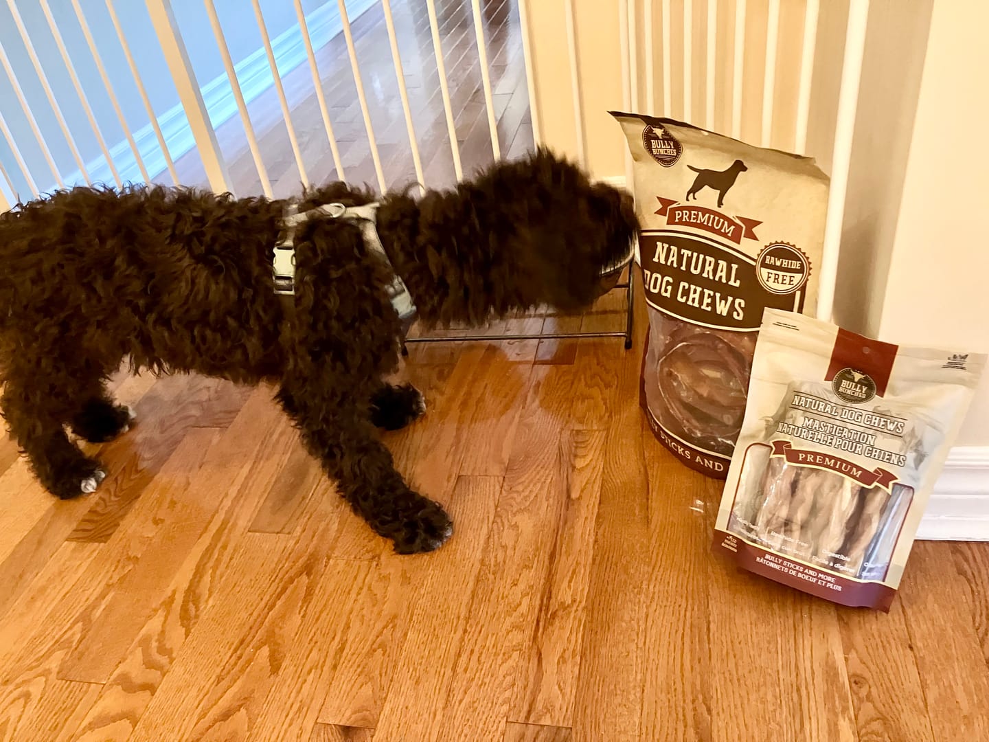 Customer photo review of Large Bully Stick Ring