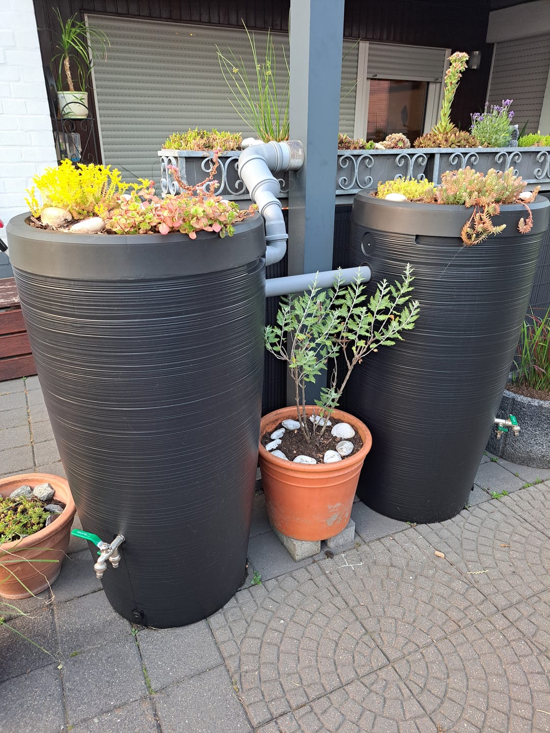 Customer photo review of YourCasa Regentonne 240 Liter [Aquasplash] Messing Wasserhahn & Deckel