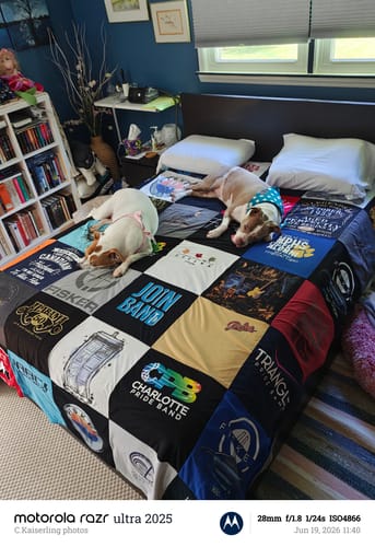 Customer's Project Repat T-Shirt Quilt spread on a bed with two dogs resting on top.