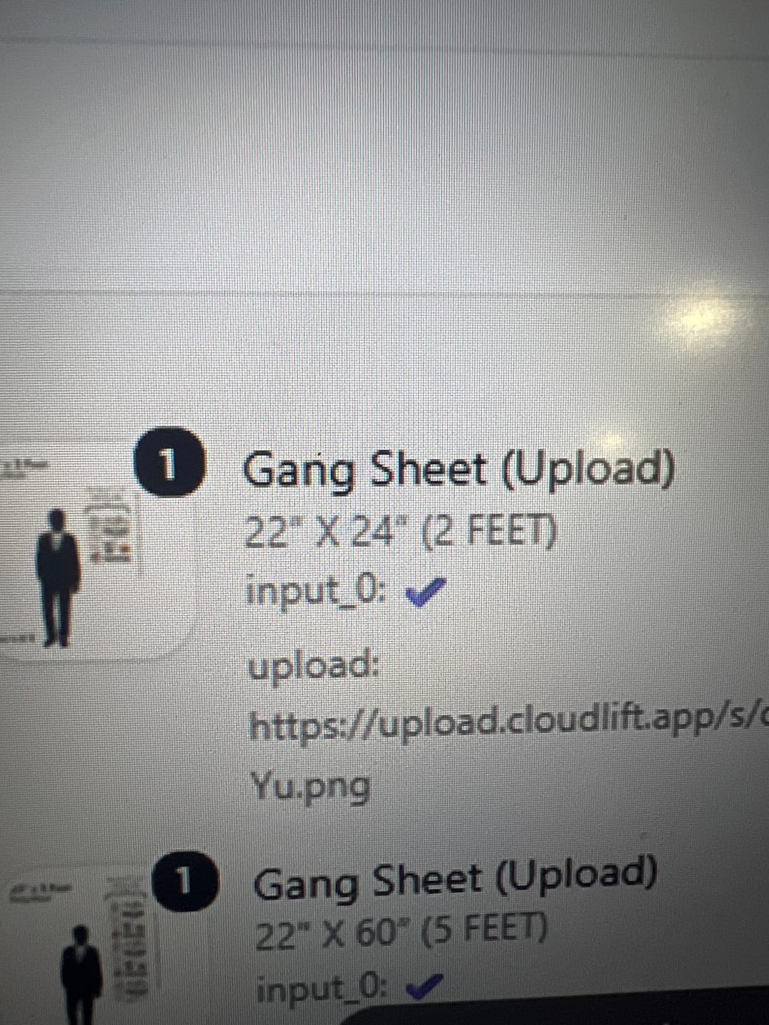 Customer photo review of Gang Sheet (Upload)