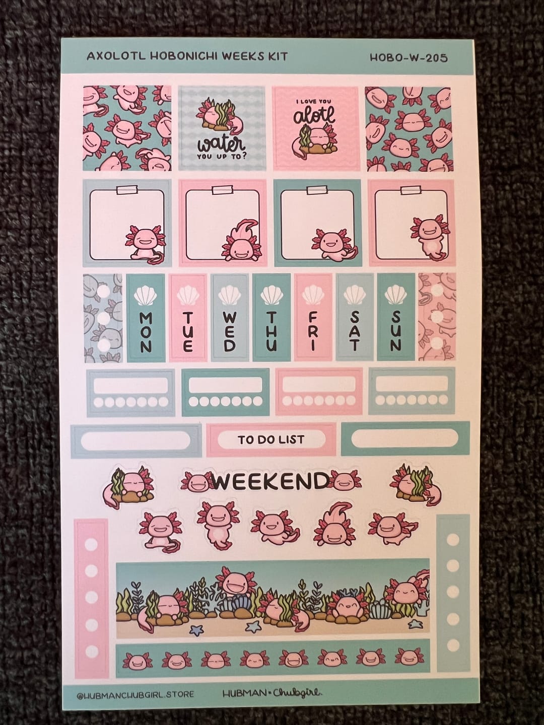 Customer photo review of Happy Axolotl Theme Hobonichi Weeks Kit