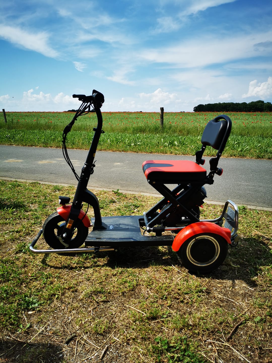 Customer photo review of VITALWORXX VITALROLLER - Faltbares Elektromobil - Führerscheinfrei