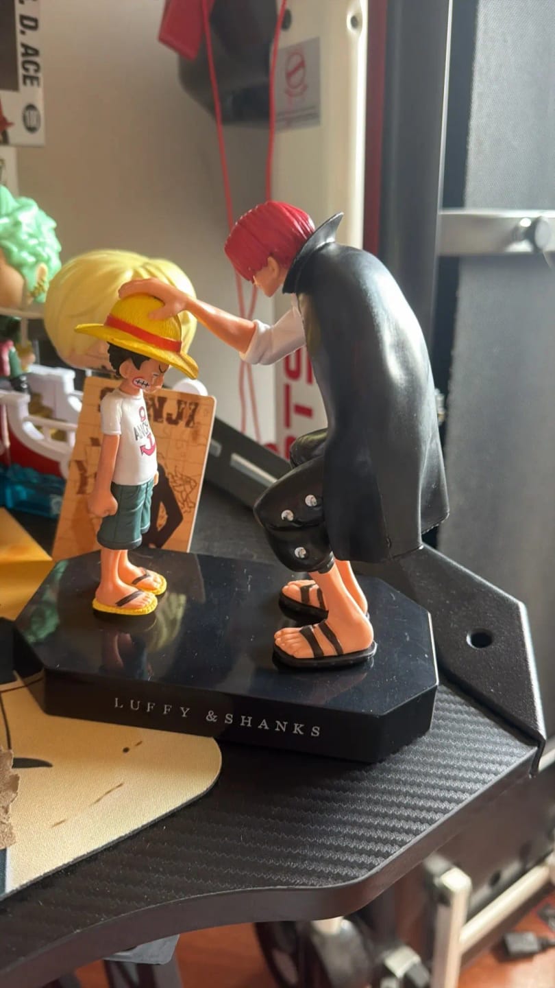 Customer photo review of Shanks & Luffy Figure
