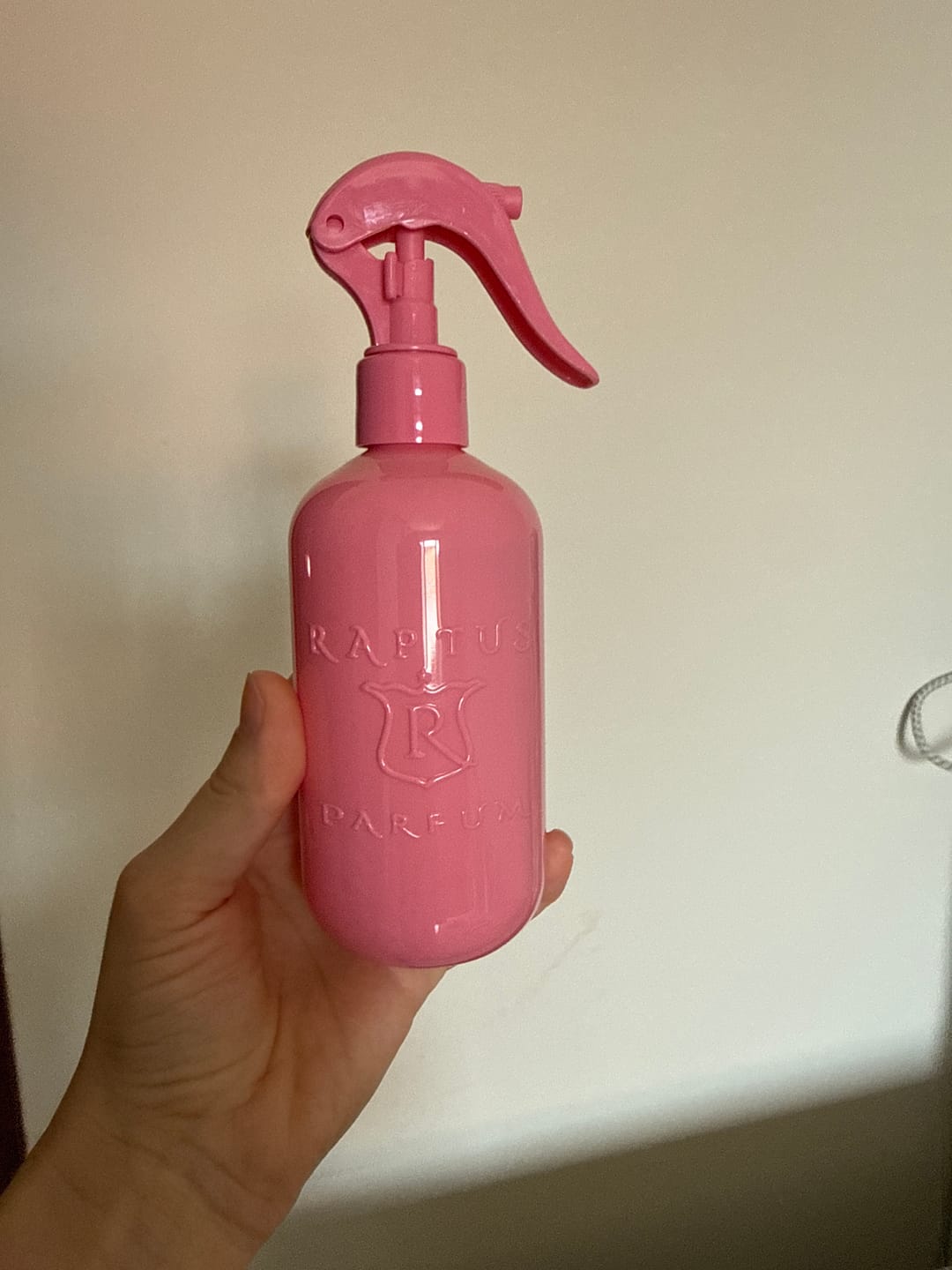 Customer photo review of RAPTUS SPRAY per tessuti