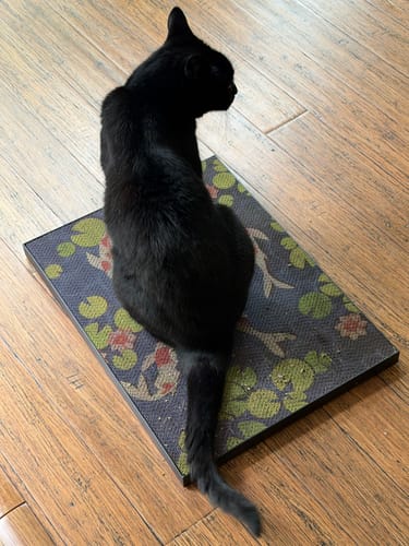 Customer photo review of Koi Pond - Luxury Cat Scratching Board