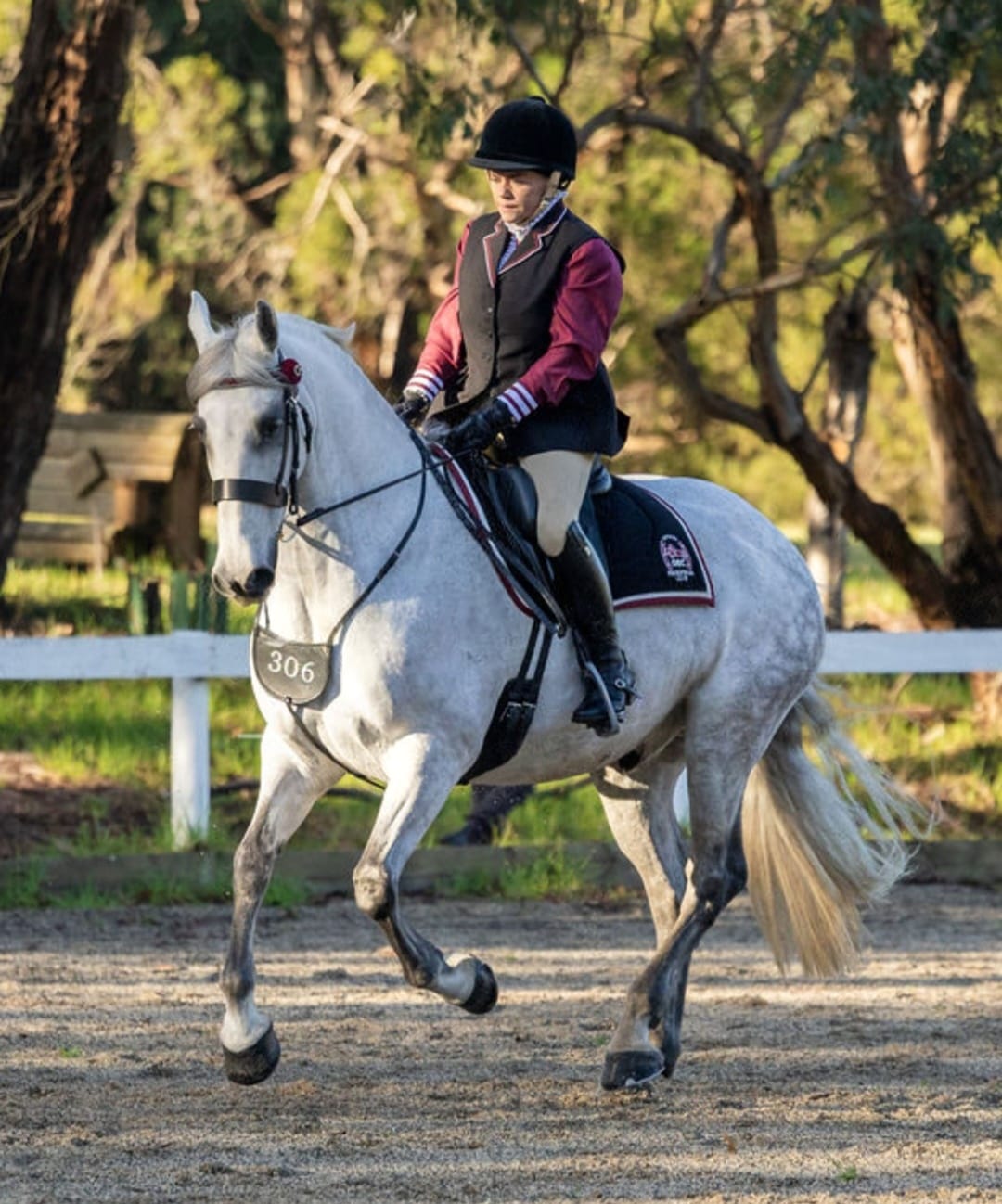 Customer photo review of Ulcer Armour+
