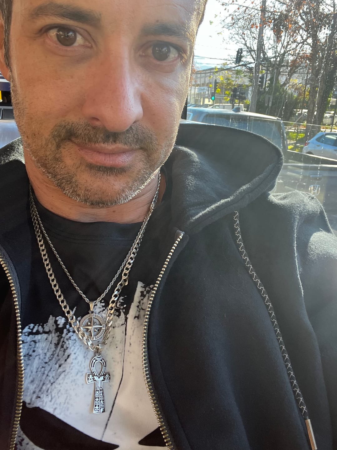 Customer photo review of Compass II Pendant