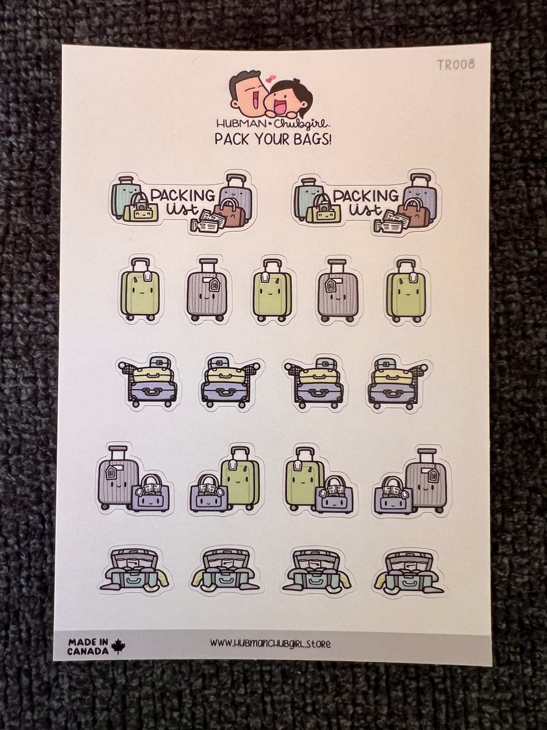 Customer photo review of Pack Your Bags Planner Stickers