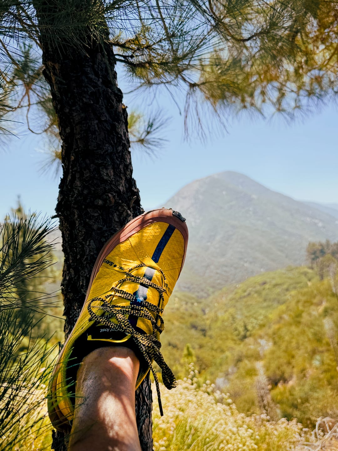 Customer photo review of get lost, saysky edition.