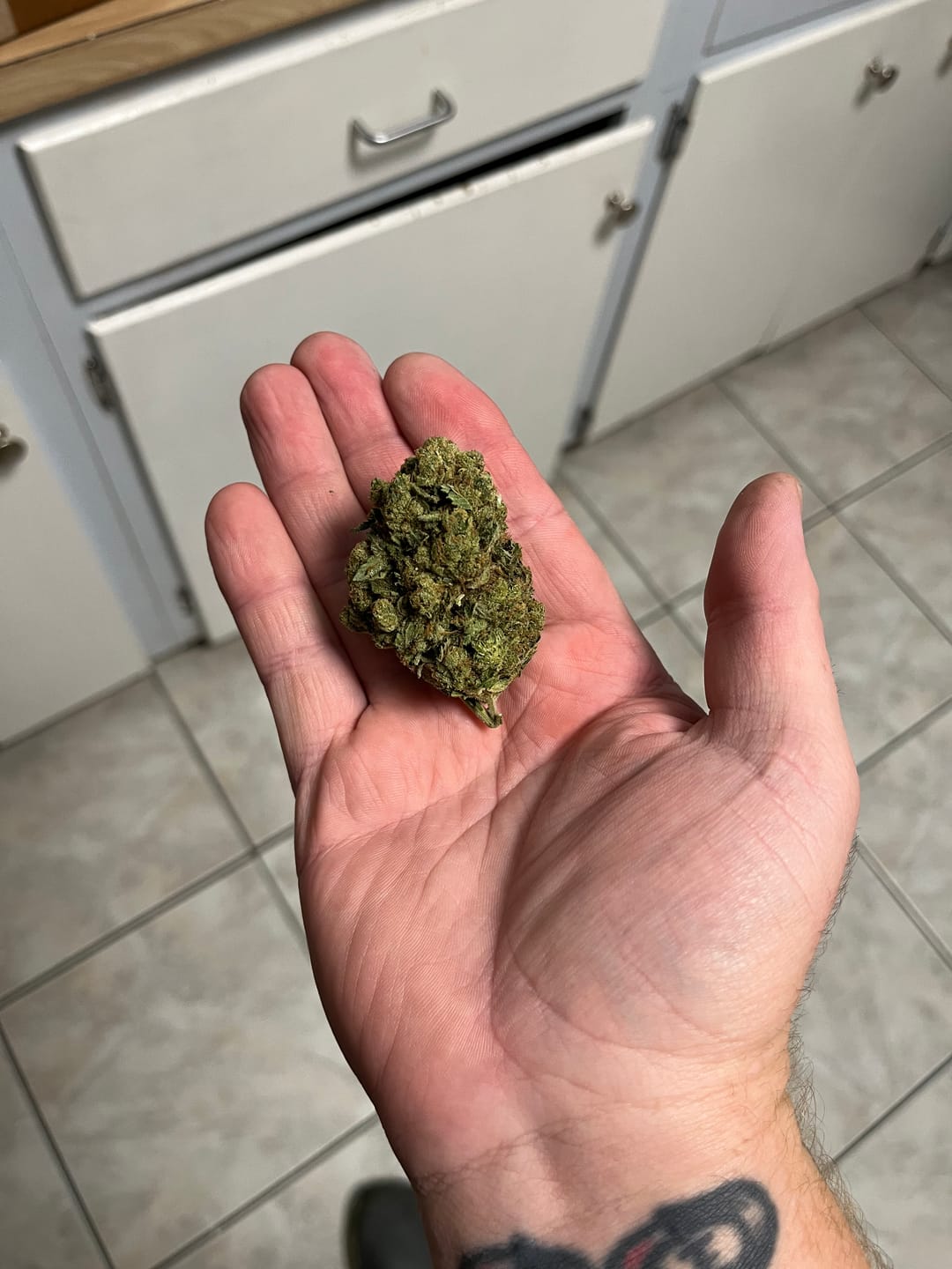 Customer photo review of Gas Face - Bulk - (Indica)