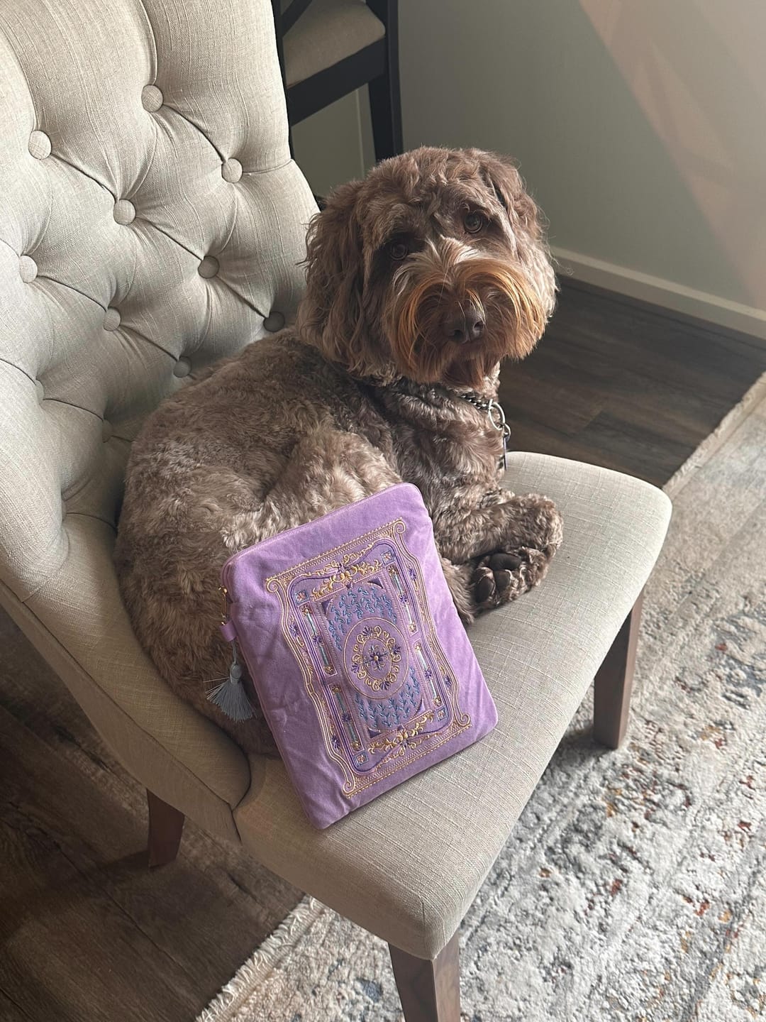 Customer photo review of Literati eReader Bundle - Wisteria