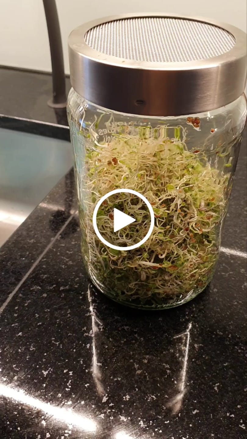 Customer video review of Starterpaket: The Way We Grow™ System