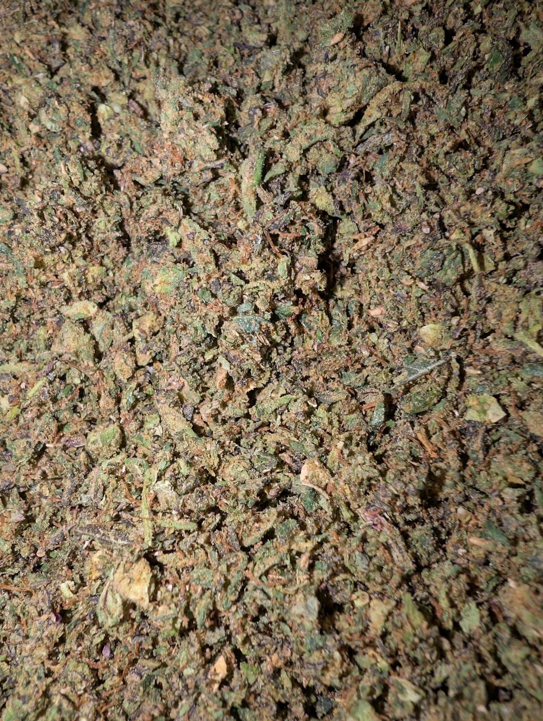 Customer photo review of BOGO - Super Runtz Shake 1oz